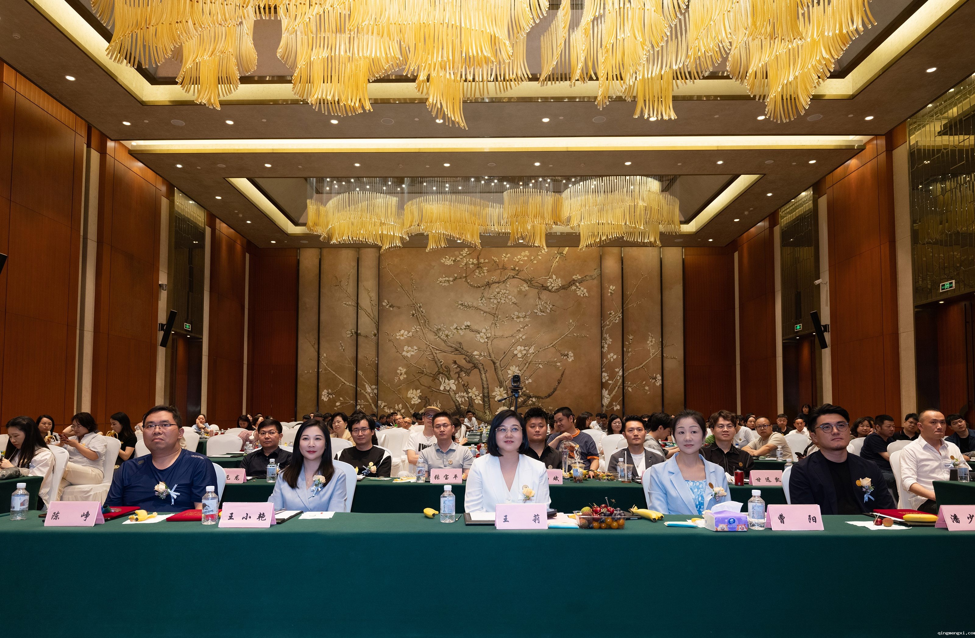 111511179.jpg 01.jpg